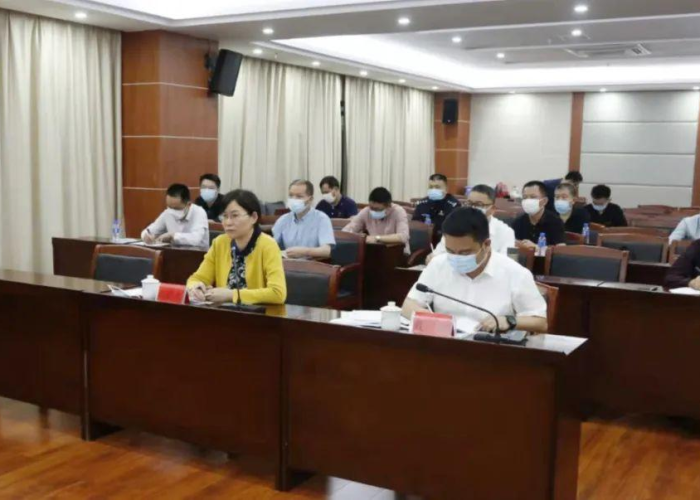 疫情背后的最新消息视频播放（疫情的背后是什么）