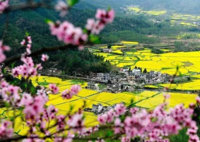 安徽疫情结束日期（安徽疫情预计什么时候解除）
