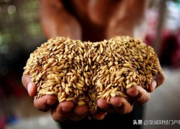工作在疫情时候不用担心温饱吗（疫情期间上班好好工作）
