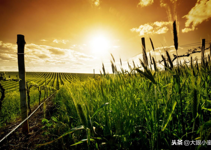 一场疫情让我们明白人情冷暖（一场疫情让我们明白人情冷暖是什么歌）