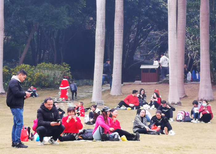 疫情是如何而来（疫情是从何而来的）