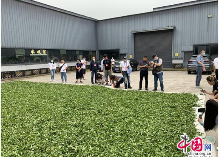 疫情期间个人房产税有减免政策（疫情期间个人房产税减免税最新政策）