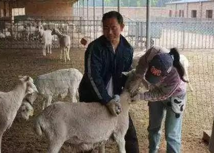 疫情的起因和源头是什么（疫情产生的原因和传染的源头）