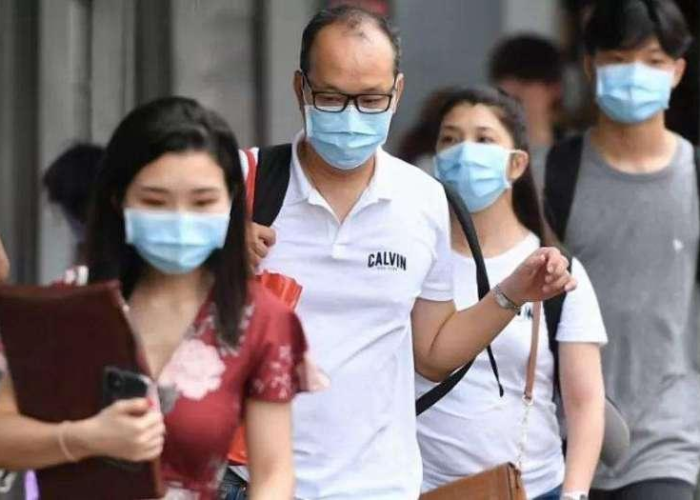 疫情的起因和源头是什么（疫情产生的原因和传染的源头）