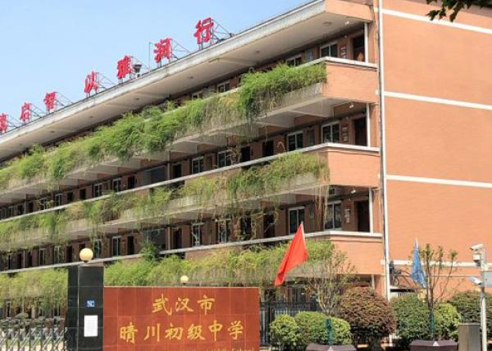 武汉疫情最后怎么结束的（武汉疫情彻底结束时间）