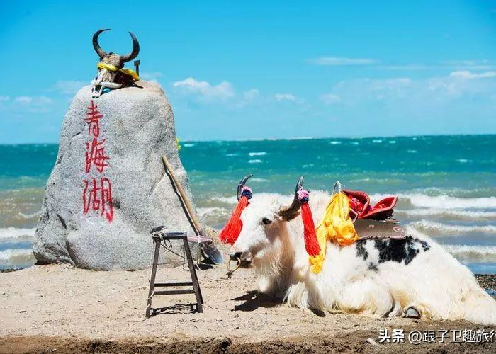 疫情回忆视频（疫情回忆视频素材）