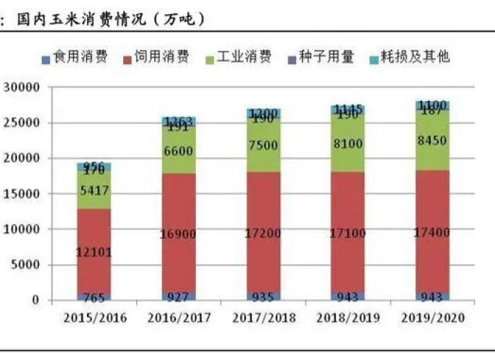2019年新冠疫情爆发（2019年新冠疫情爆发原因和地点）