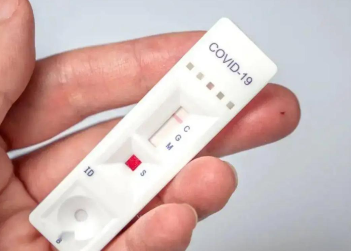 现在疫情完全放开了吗最新消息（现在疫情完全放开了吗最新消息是什么）