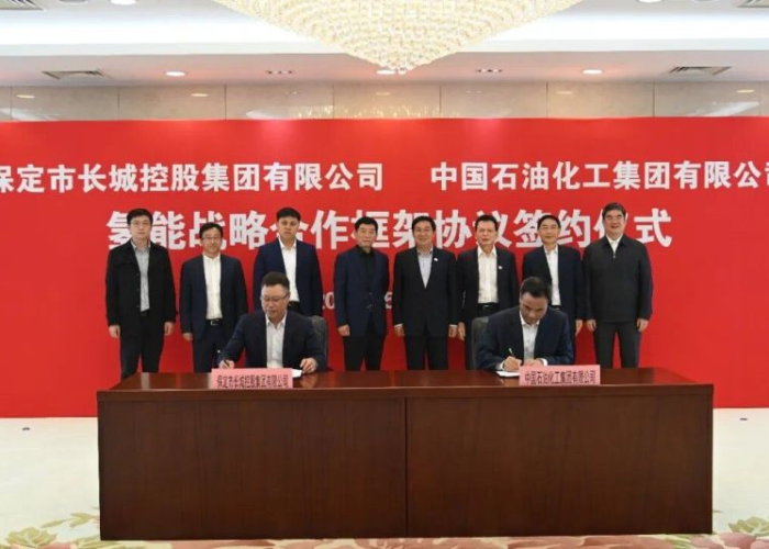 中国新冠疫情总结历史书电子版（新冠疫情 历史书）
