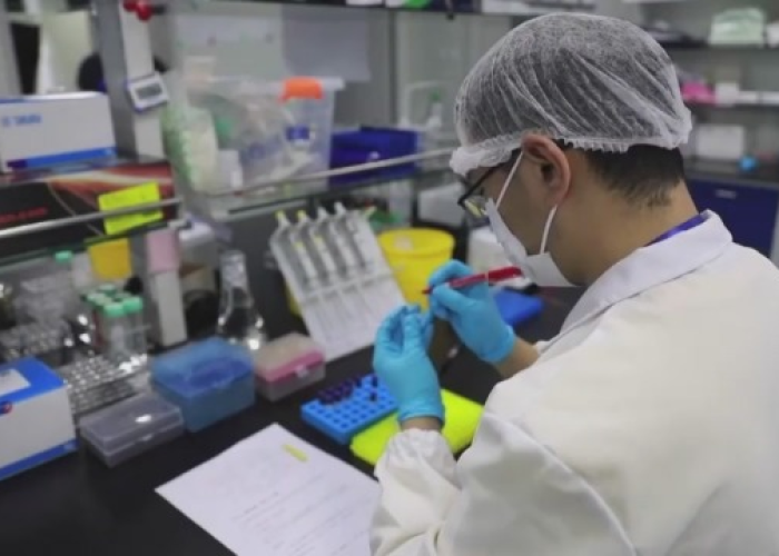 疫情疫苗什么时候研发出来的（疫情疫苗什么时间能研究出来）