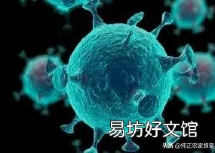 新冠疫情古文版（新冠疫情古文描述）