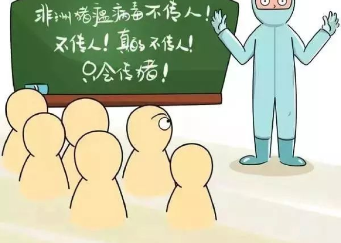 疫情到底是因为什么（疫情是因为什么而起?）