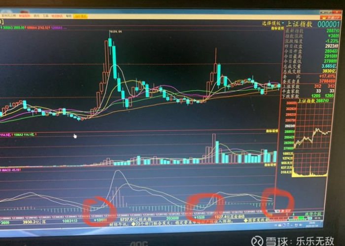 深圳疫情到底怎么爆发了（深圳疫情怎么开始的）