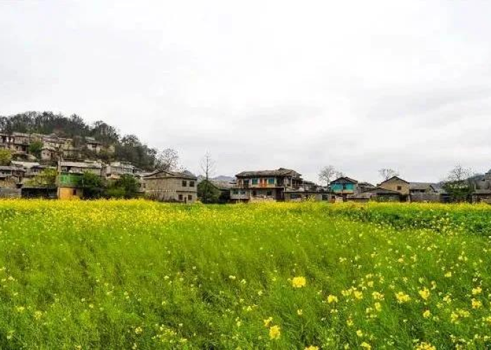 疫情最新报道实时数据贵州（贵州疫情最新通报今天新闻）