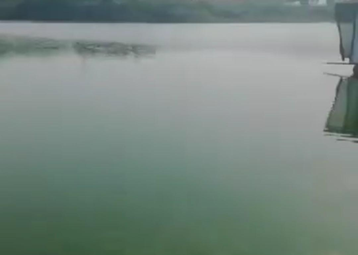这疫情什么时候结束的说说（这疫情到底什么时候结束的说说）