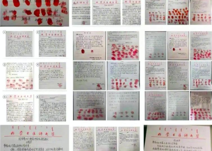 丁香园疫情实时动态（丁香园疫情实时播报最新）