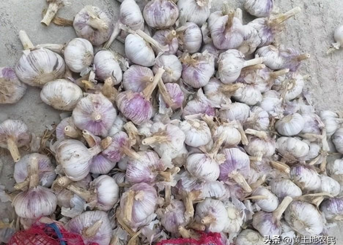 中国疫情放开了吗（中国疫情开放国家）
