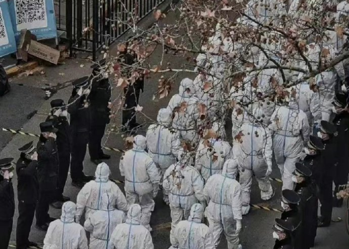 三年疫情到底发生了什么（三年疫情两年灾难）