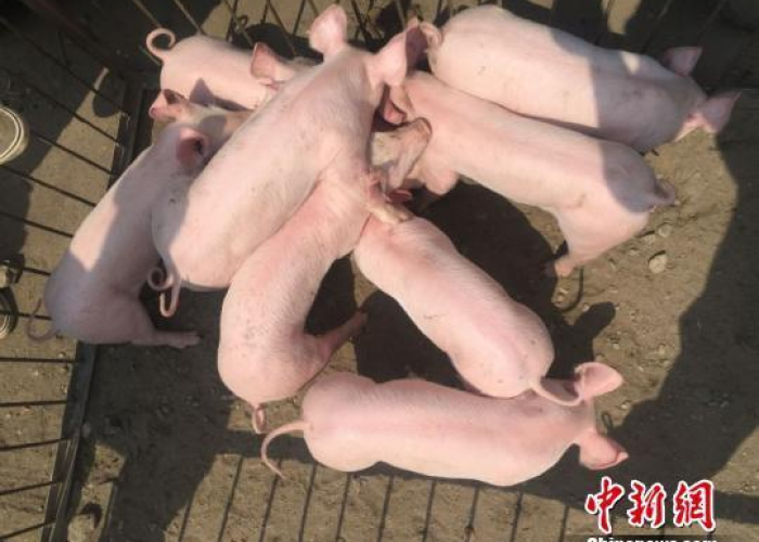 2019疫情开始（2019年疫情是几号开始的）