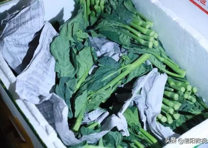 成都疫情暂停营业通知（成都 暂停）