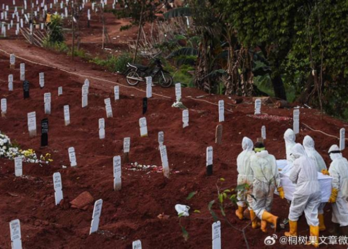 疫情一共有多少人死亡（疫情多少人死亡2020 年）