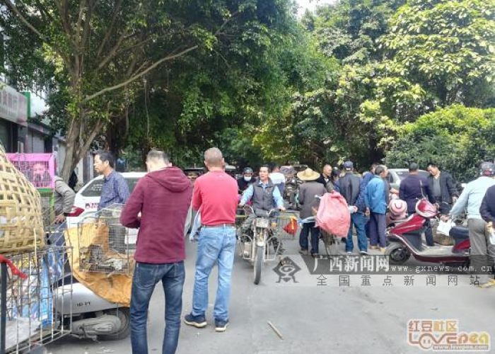 疫情期间小区停车费减免申请范文（疫情期间申请停车费减免报告）