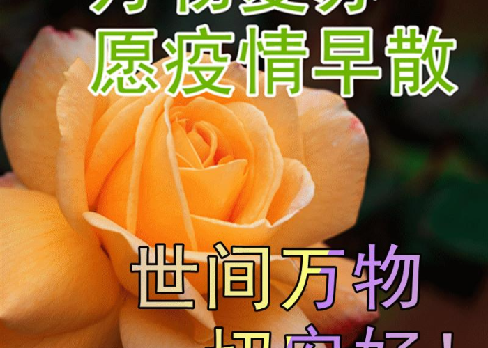 疫情结束的话语（结束疫情后的暖心文案）