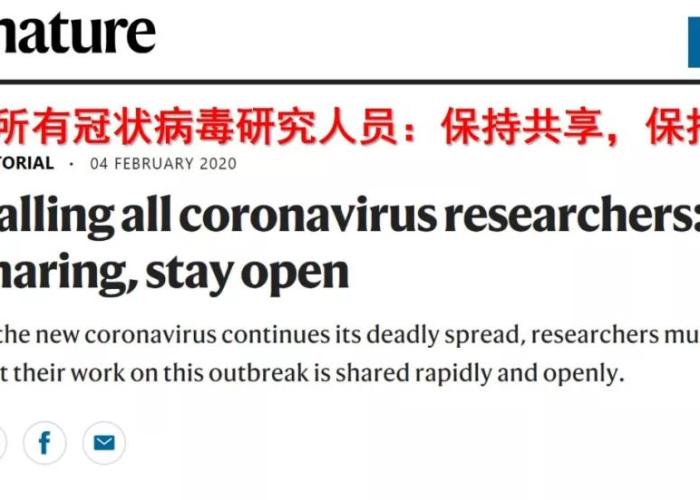 新型冠状病毒疫情的英文（新冠病毒疫情 英文）