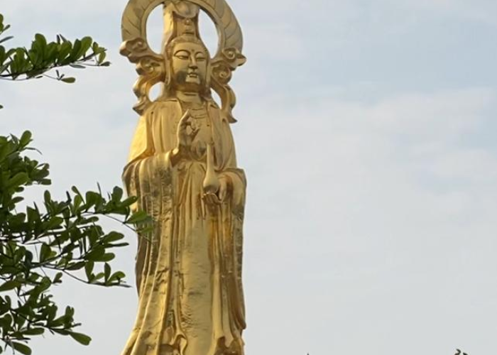 疫情放开之后的商场（疫情商场会关门吗）