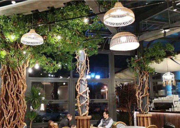 疫情开放时间节点（疫情期间什么时候开放国门）