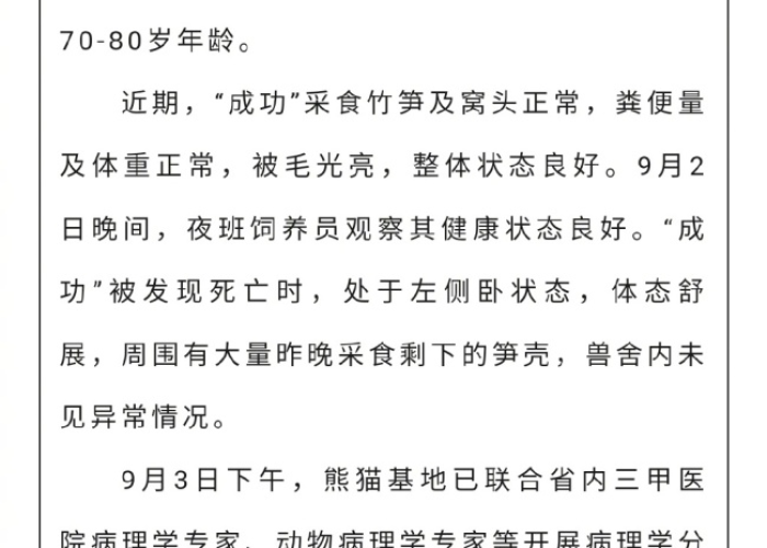 我和疫情的故事2000字（我和疫情的作文）