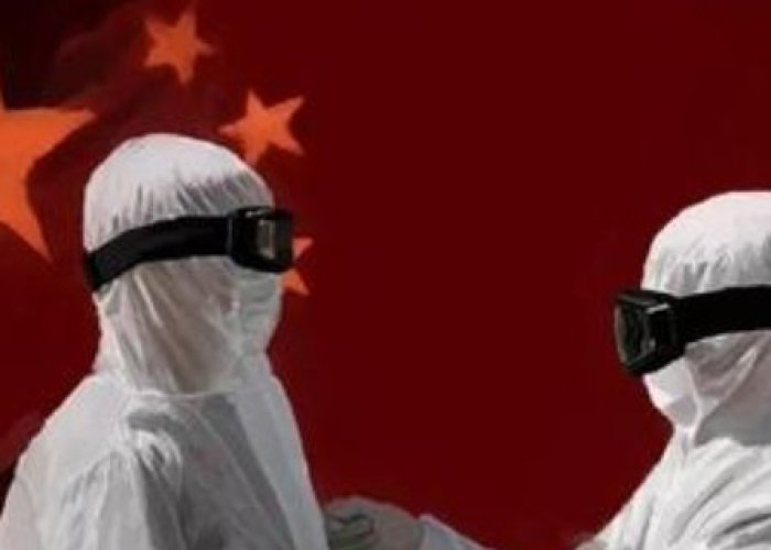 2020抗击疫情国外感人故事（感动中国的国内外抗击疫情的故事）