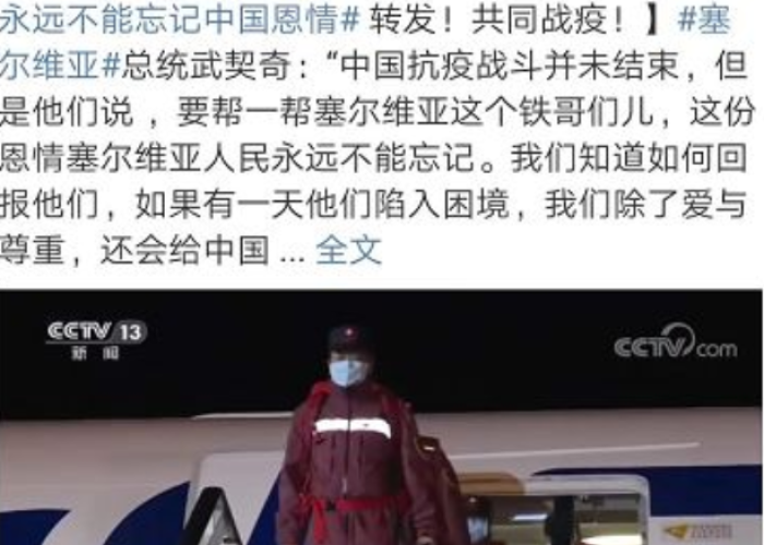 放弃抵抗疫情的国家有多少（放弃抵抗疫情是哪个国家）