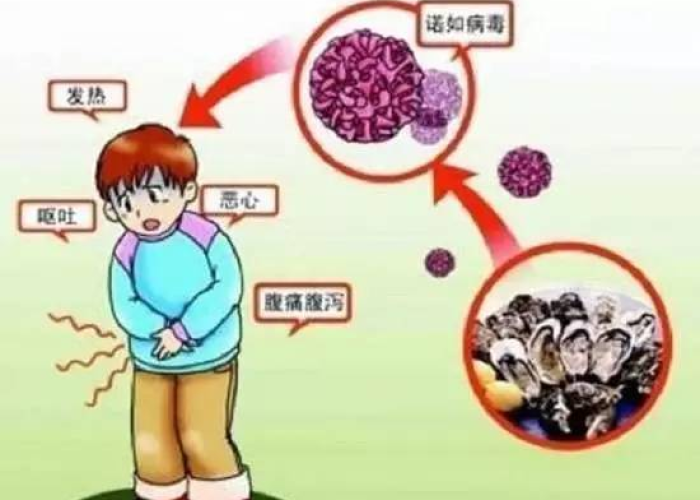 疫情是几几年来的（疫情是几几年来的病毒）