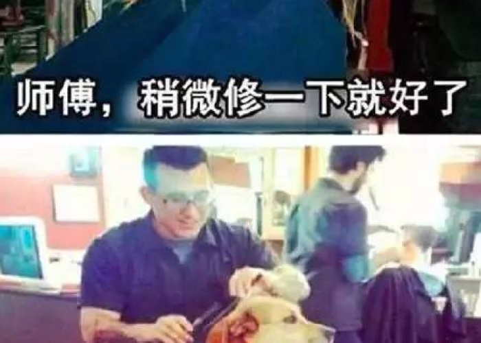 疫情剪头发的说说（疫情剪发文案）