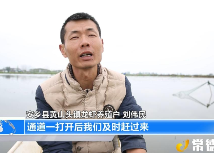 疫情是什么时候全部解封的（疫情什么时候解封了）