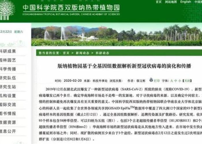 新冠疫情源头到底是哪里（新冠疫情源自哪里）
