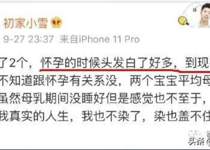 疫情三年白了头发的领导干部（疫情期间白了头的人）
