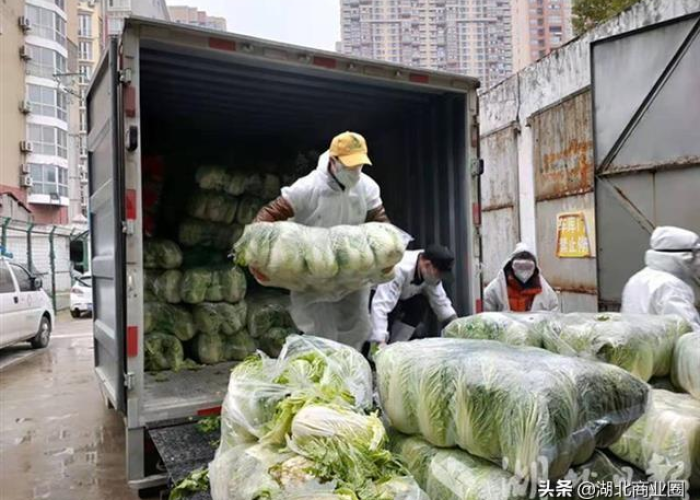 武汉疫情的白衣天使们的感人故事（武汉疫情的白衣天使们的感人故事有哪些）