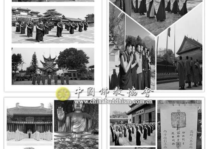 中国新冠疫情历史数据（中国新冠回顾）