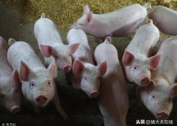 疫情是在什么时候开始蔓延的（疫情是在什么时候开始爆发的）
