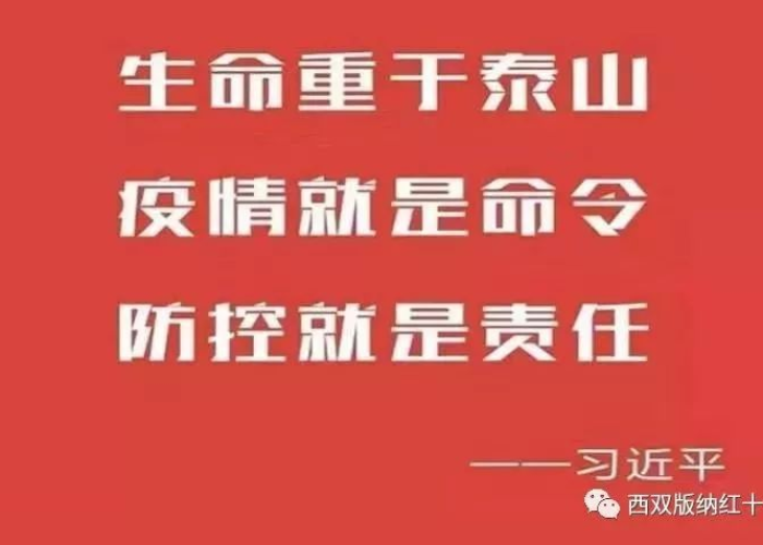 疫情期间有份工作的感悟（疫情期间关于工作的感悟）
