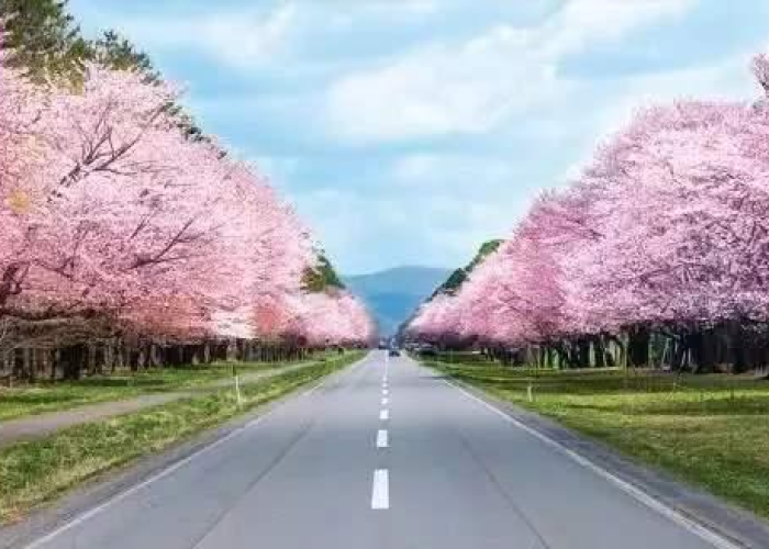 疫情免过路费（疫情高速免过路费时间最新）