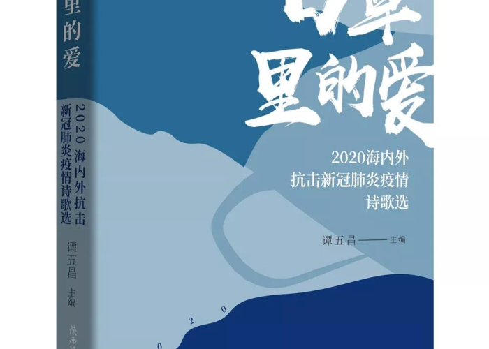 疫情小说一口气看完（2020疫情小说）
