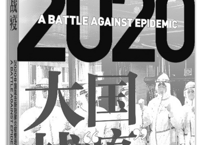 疫情小说一口气看完（2020疫情小说）