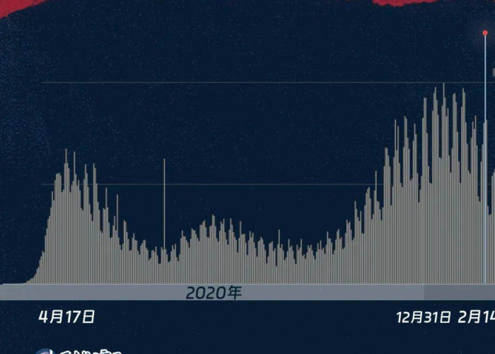 2020-2021疫情回顾（去年疫情回顾）