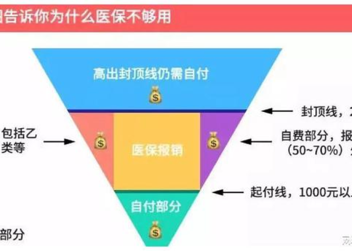 疫情开始于哪一天（疫情是从哪一天开始）