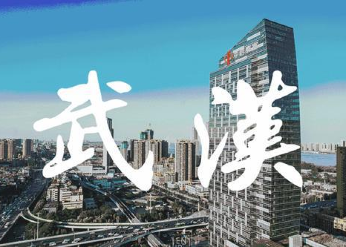 武汉那年的疫情（武汉哪一年疫情）