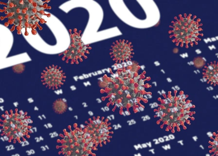 疫情背景概述（2020年疫情背景介绍）
