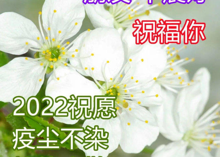 疫情过后准备开学的文案（疫情过后准备开学的文案怎么写）